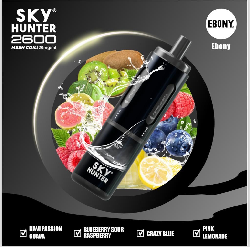 4 in 1 Sky Hunter 2600 Puffs Disposable Vape Pod Kit Pack of 5 