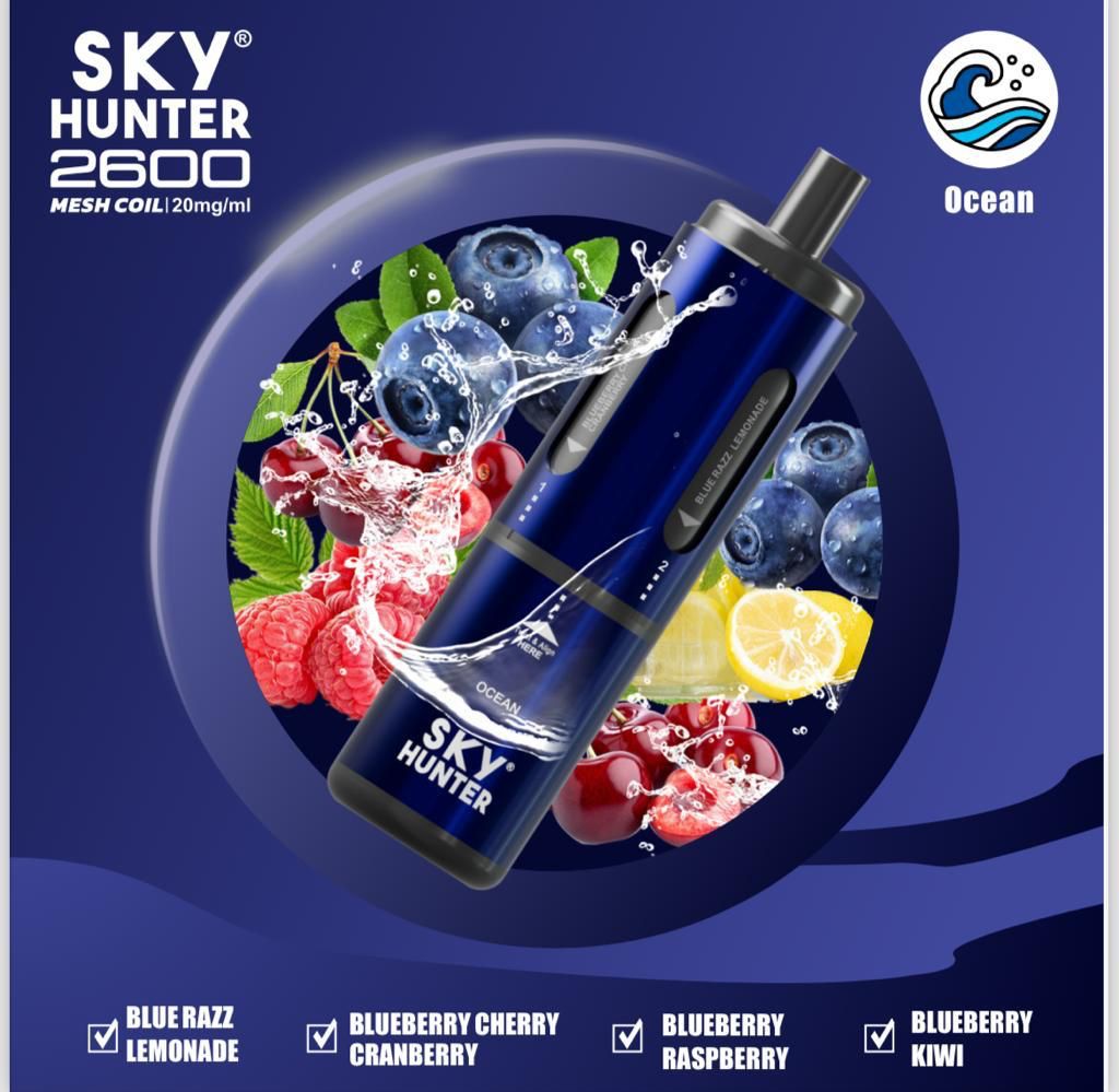 4 in 1 Sky Hunter 2600 Puffs Disposable Vape Pod Kit Pack of 5 