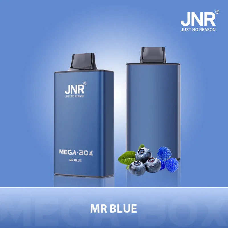 JNR Mega Box 25000 Puffs Disposable Vape