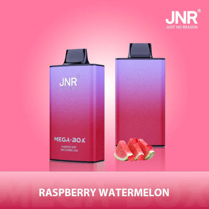 JNR Mega Box 25000 Puffs Disposable Vape Raspberry Watermelon