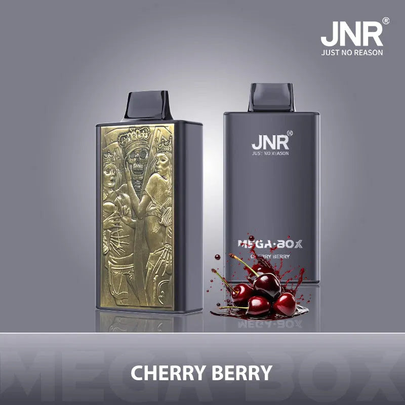 JNR Mega Box 25000 Puffs Disposable Vape Cherry Berry