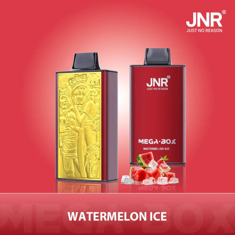 JNR Mega Box 25000 Puffs Disposable Vape Watermeon Ice