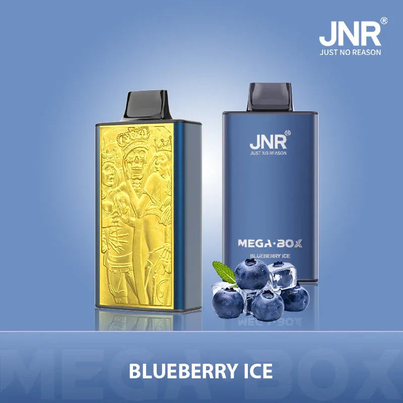 JNR Mega Box 25000 Puffs Disposable Vape Blueberry Ice