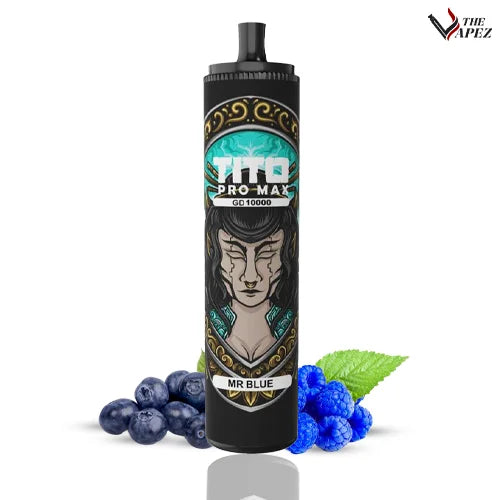 Tito Pro Max GD 10000 Puffs-Mr Blue